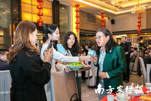 深圳餐饮机构代表现场品鉴点评。 