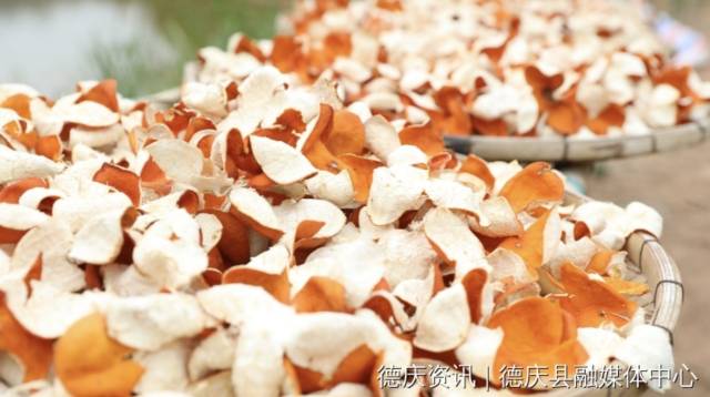 南方农村报 王富迪 拍摄