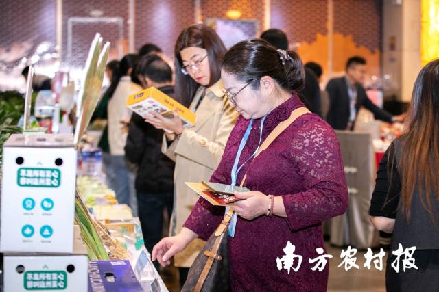 连州菜心的自然甜勾起了很多餐饮品牌负责人的兴趣。