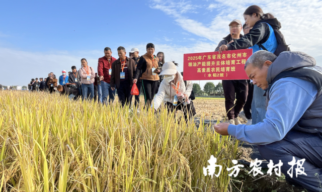 实践培训现场。