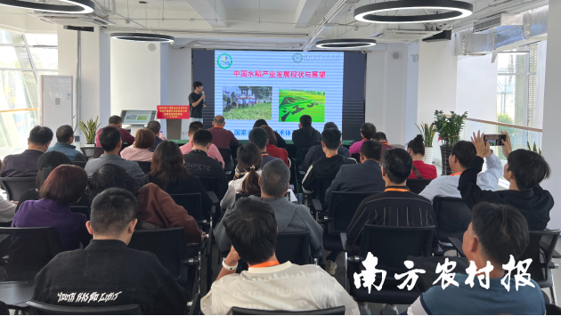 2025年广东省茂名市化州市粮油产能提升主体培育工程高素质农民培育班（水稻班）教学现场。