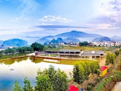 肇庆市住建局：推动城镇功能品质焕新提质