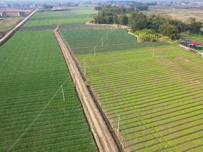 肇庆市自然资源局：全域土地综合整治重塑发展空间