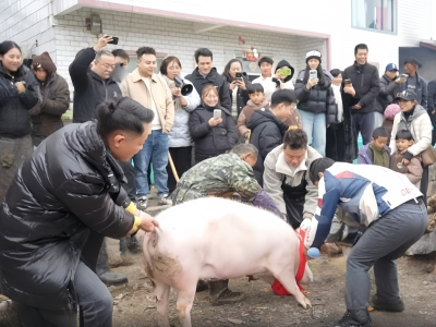头啖汤评论：一场杀猪宴，唤醒人间烟火的暖意