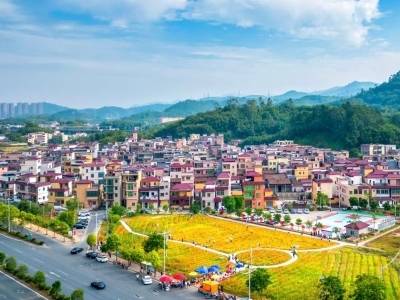 肇庆广宁：产业振兴攻坚，城乡融合提质