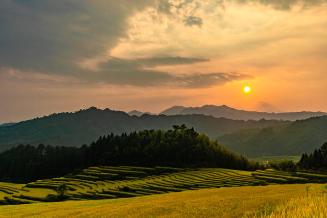 广东乡村一角。