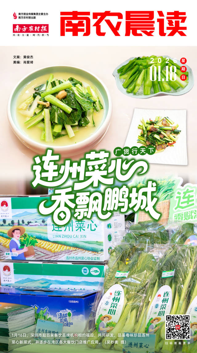 南方农村报 巢芮 制图