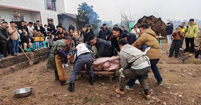 今年，合川云门街道庆福村的网友@呆呆一句“家有年猪要杀，求搭手，管刨汤饭”直接唤醒全网网友乡愁。