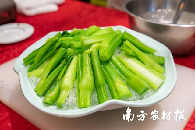 连州菜心从冰水里捞出，再摆上冰盘，一份鲜甜可口的菜心刺身就做好了。