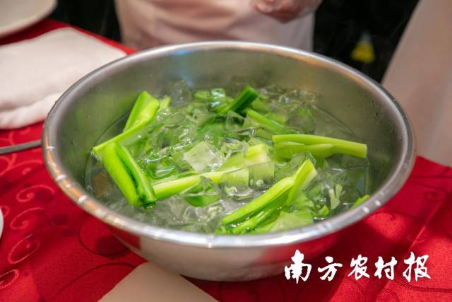 连州菜心过热水后，再过一遍冰水，口感更脆嫩。
