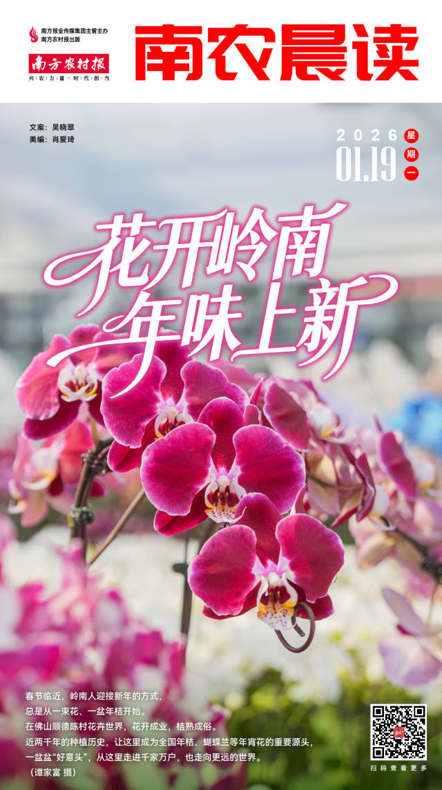 南方农村报 巢芮 制图