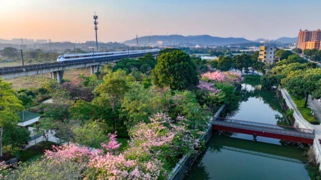 南朗街道大溪。