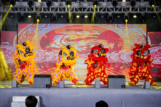 揭阳市揭东区埔田镇牌边村，晚会上群狮舞动，恭贺新春。
