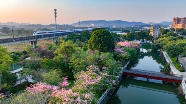 南朗街道大溪。