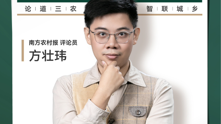 兴农评丨跟风刨猪宴被叫停，莫让热情变险情