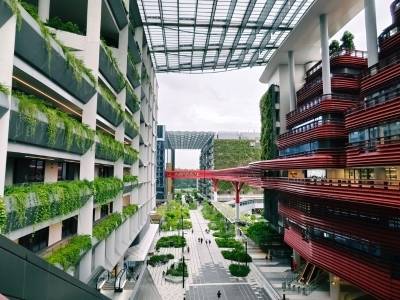 探访榜鹅数码园区：看中国企业如何深度融入新加坡创新高地｜出海新机