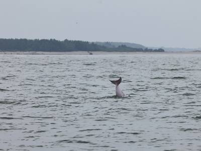 广东水利投资大盘如何筑牢？“四位一体”实招硬招显效