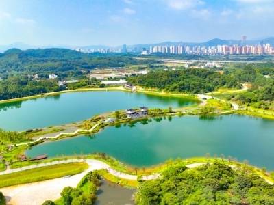 市政协委员曹长林：建议广州抢抓6G战略窗口｜2026广州两会