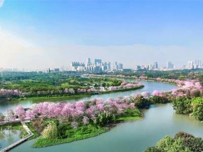 划重点！广州市政府工作报告@海珠，这些关键词不容错过