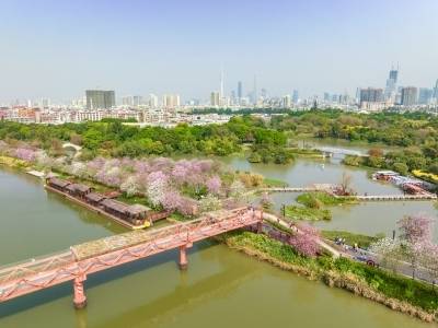 广州今年将筹集建设3万套保障性住房｜2026广州两会