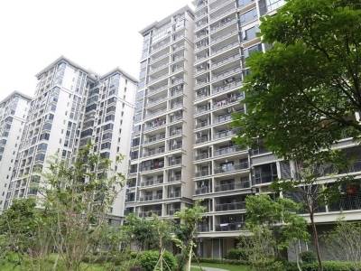 广州试点改造17个首批危旧房、100个老旧小区｜2026广州两会