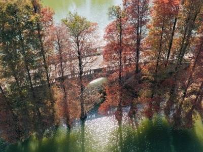 翻阅2026年政府工作报告，我们看到这样的绿美广州｜2026广州两会