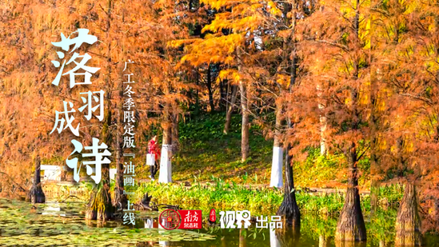 落羽成诗，广工冬季限定版“油画”上线