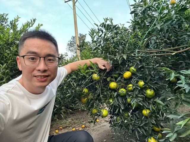 林盛南转型为“农技主播”，用手机传递农技知识。