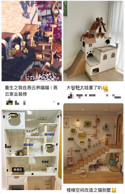 社交媒体上，不少宠物主秀出给宠物建的“别墅”