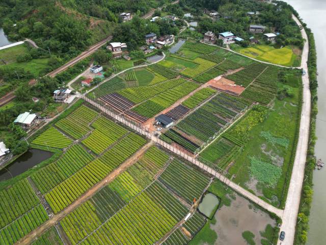 全省每年保障优质苗木超1亿株。