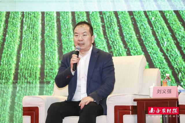 暨南大学侨乡治理与乡村振兴研究院院长 刘义强