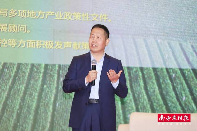 中国蔬菜协会秘书长 柴立平