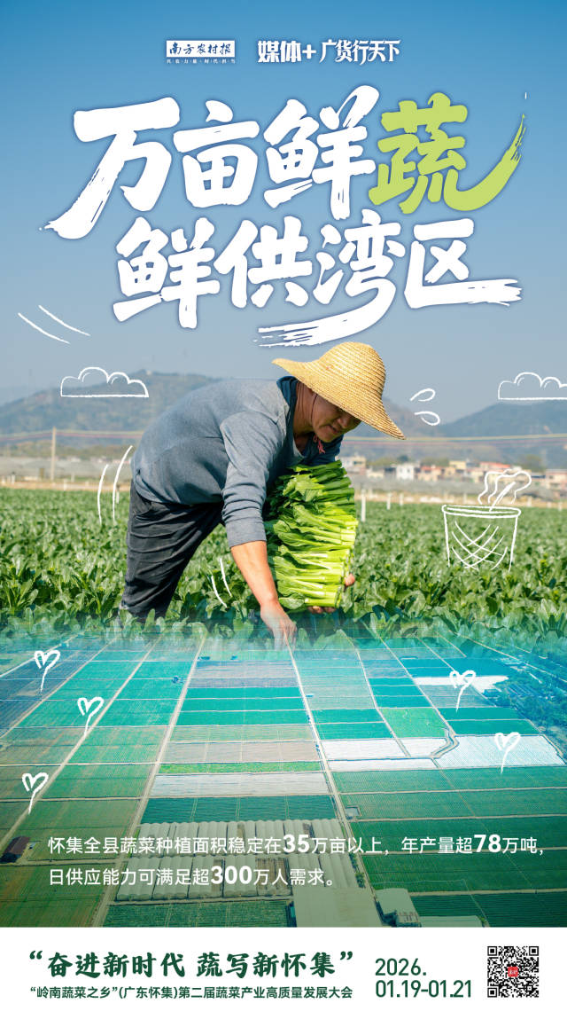 万亩鲜蔬 鲜供湾区