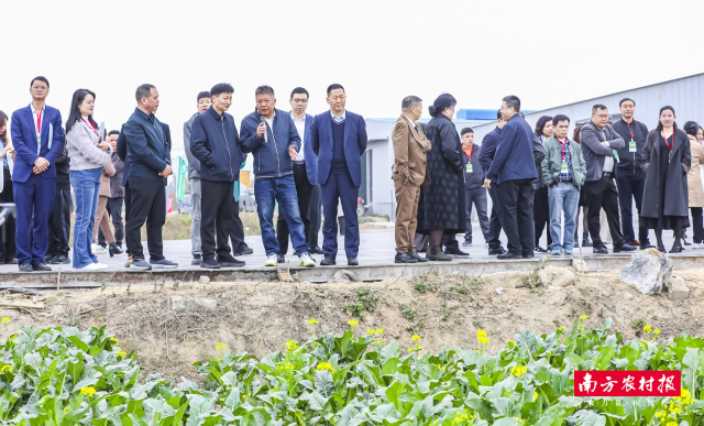 参会人员深入“岭南蔬菜之乡”产业示范带开展实地调研。