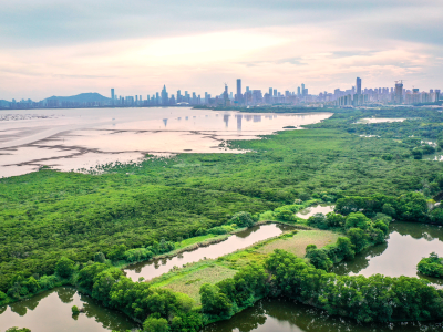 聚焦2026年福田两会