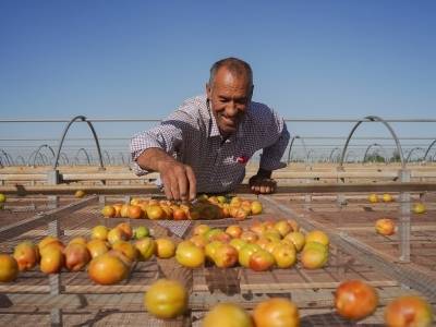 跨越山海的百亿工程如何炼成？