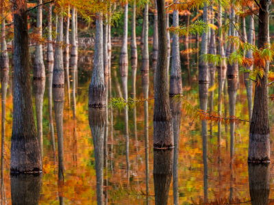 大夫山、龙湾涌……“红了”！