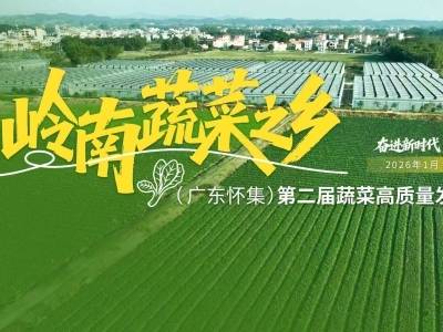 “岭南蔬菜之乡”（广东怀集）第二届蔬菜产业高质量发展大会
