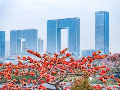 开局即冲刺，2026怎么闯？广州市直部门“一把手”这样说