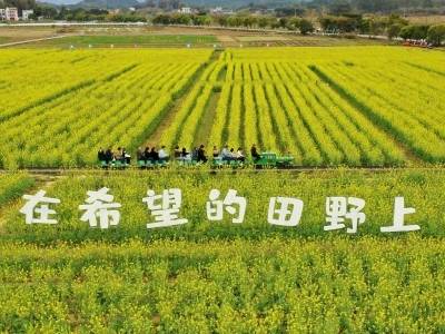 惠城： “三篇文章”绘就城乡新图景