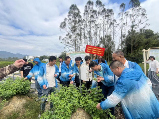 在恩平市雪荘农业科技有限公司，学员们实地学习簕菜种植技术