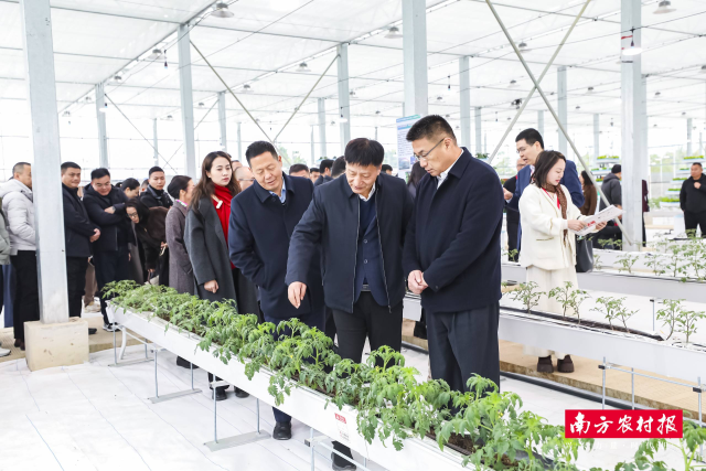 参会人员参观院士大棚。