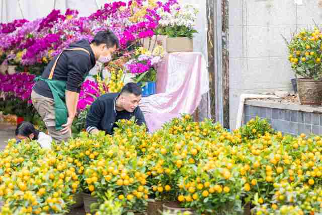 市民挑选年桔。