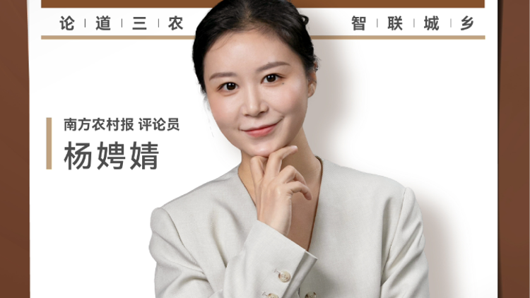 兴农评丨莫让“百强县”虚名掏空百姓实利