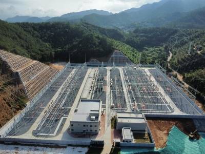 政企联动破梗阻，茂名电网建设跑出“加速度”