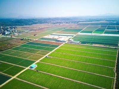 南农晨读 | 蔬香怀集