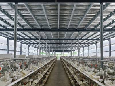 “双百行动”亮答卷 高校“智囊团”为兴宁带来哪些变化