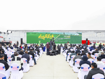 科技赋能产业升级！“岭南蔬菜之乡”高质量发展大会启幕