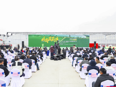 院士成果落户“岭南蔬菜之乡”产业示范带！怀集再办蔬菜产业大会成果丰硕