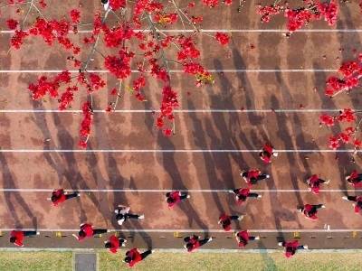 南方+金牌拍客是他们！用镜头记录岭南2025